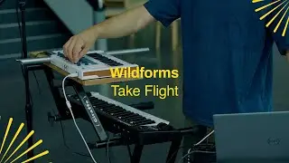 Wildforms - 'Take Flight' X The Glasshouse