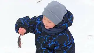 СЫН В ШОКЕ ОТ ТАКОЙ РЫБАЛКИ.УЛОВИСТЫЕ ПРИМАНКИ КОСЯТ ОКУНЯ.