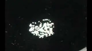 UFO Sighting 08-15-07