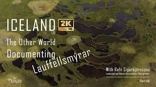 Iceland LII - Documenting Lauffellsmýrar Wetlands │ Part 148