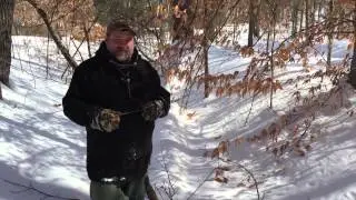 An ideal location to set up a camp or survival shelter