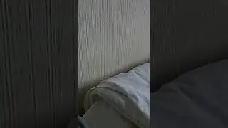 30 июля 2024 г.