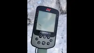 Minelab X-Terra Pro - Тест на чешуйку #металлоискатель #металошукач #minelab #xterrapro