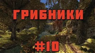 Прохождение Gothic 2 мод [Грибники] [#10] Конец?