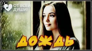 ОЧЕНЬ КРАСИВАЯ ПЕСНЯ - ДОЖДЬ | ОТ ВСЕЙ ДУШИ!