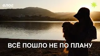 скучный бэкстейдж, непредсказуемая жизнь / день 14