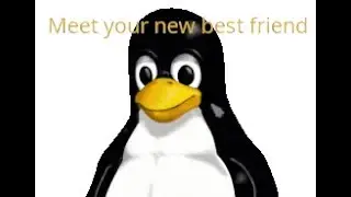 Your new friend Tux