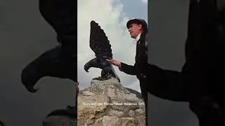 - Повторяйте заклинание! По следам Кисы и Оси.