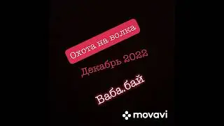 Охота на волка!! Hunting the wolf!