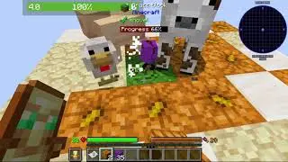 Minecraft OneBlock Randomizer #1