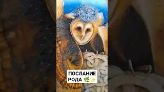 ПОСЛАНИЕ РОДА 🌿✨