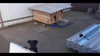 Как сделать будку. (Будка из ЖК телевизоров!)