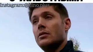 Дин,разговор с животными😂😍