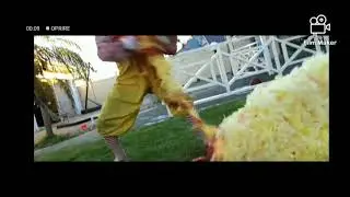 Ron kills big bird