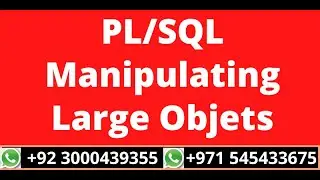 18.PL/SQL Manipulating Large Objets