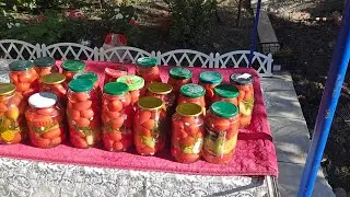 Такие Вкусные Солёные  Помидоры 🍅  я ещё  не  разу  не поела