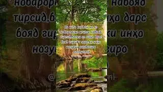 Аз хато кардан#love #tajik #tajikistan #насихат #таджикистан #пандуандарз