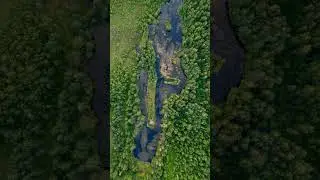 Места Ленобласти #shorts #месталенобласти