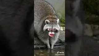 Мой руки)))