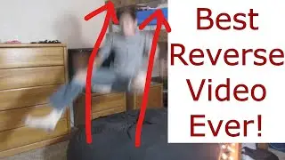 Best reverse video ever!