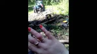 За лисичками в шарыпово