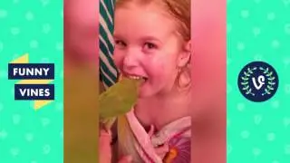 Funny PARRROTS & BIRDS Compilation April 2017 | Funny Vines
