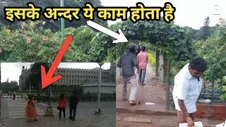 इस जंगल में क्या क्या काम होता है