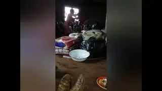Dan Nkosi Julia