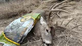 South Texas Deer Hunting at Thompson Hunting Lodge ! #hunting #southtexas  #deerhunting