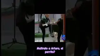 Gran Hermano. Maltr@to a Arturo? Todo lo que opino lo pueden ver en mi video en YouTube. #shorts
