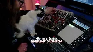 Ambient Night 24 - Ambient Sequences