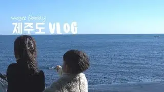 [브이로그] 겨울 제주도