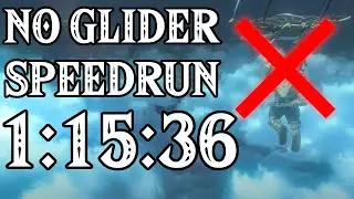Tears of the Kingdom Any% Speedrun in 