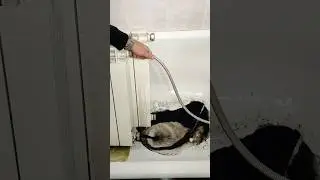 Почему нужно промывать радиаторы отопления
