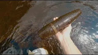 город Андреаполь, р Западная Двина