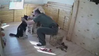 Наводим красоту! 2 апреля 2019 г.
