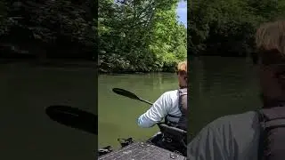 Trick Worm Spotted Bass!! #bassfishing #riverfishing