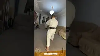 Ката «Сэйсу»