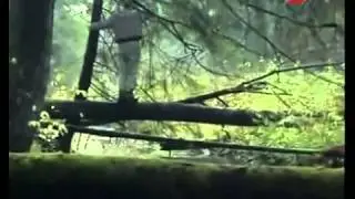 Ориентирование в лесу