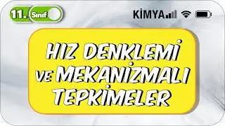 Hız Denklemi ve Mekanizmalı Tepkimeler | 11. Sınıf Kimya 