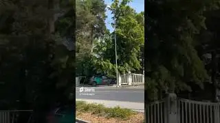 Bolt Drive Tokyo Drift 🏎