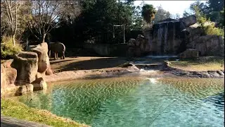 Le Cornelle - Faunistic Park Bergamo Italy 🇮🇹 🇮🇹