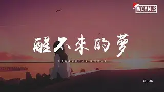 回小仙 - 醒不来的梦「你是我触碰不到的风，醒不来的梦」【動態歌詞/pīn yīn gē cí】