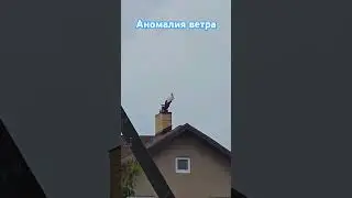 #breststork