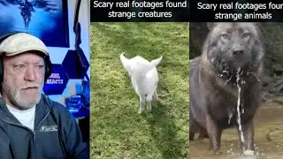 Creepy TikToks That Will Make You Question Everything You See (Part 12)