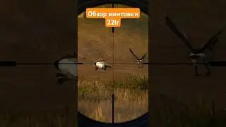Обзор Лучшей Мелкокалиберной Винтовки The Hunter Classic