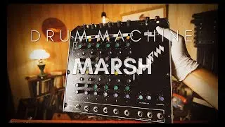 MARSH UDS - RARE VINTAGE SOVIET ANALOG DRUM SYNTHESIZER Ussr March 808 Synth 909