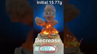 Best Conservation of Mass Experiment EVER!(maybe)