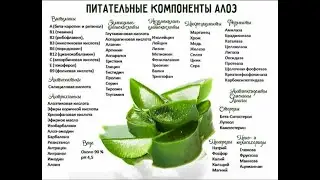 Отзыв - артериальное давление, онкология 4 степени!