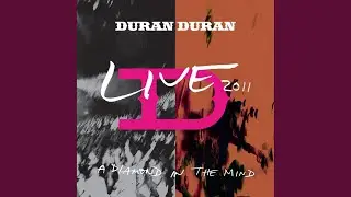 Ordinary World (Live)